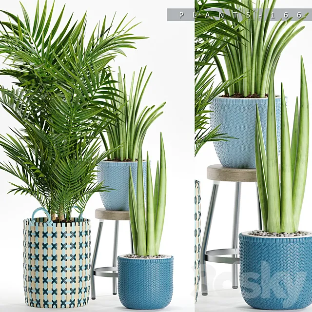 PLANTS 166 3DModel PLANTS 166 3DModel