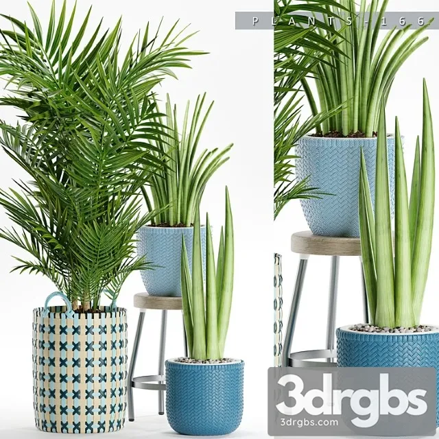 Plants 166 Plants 166