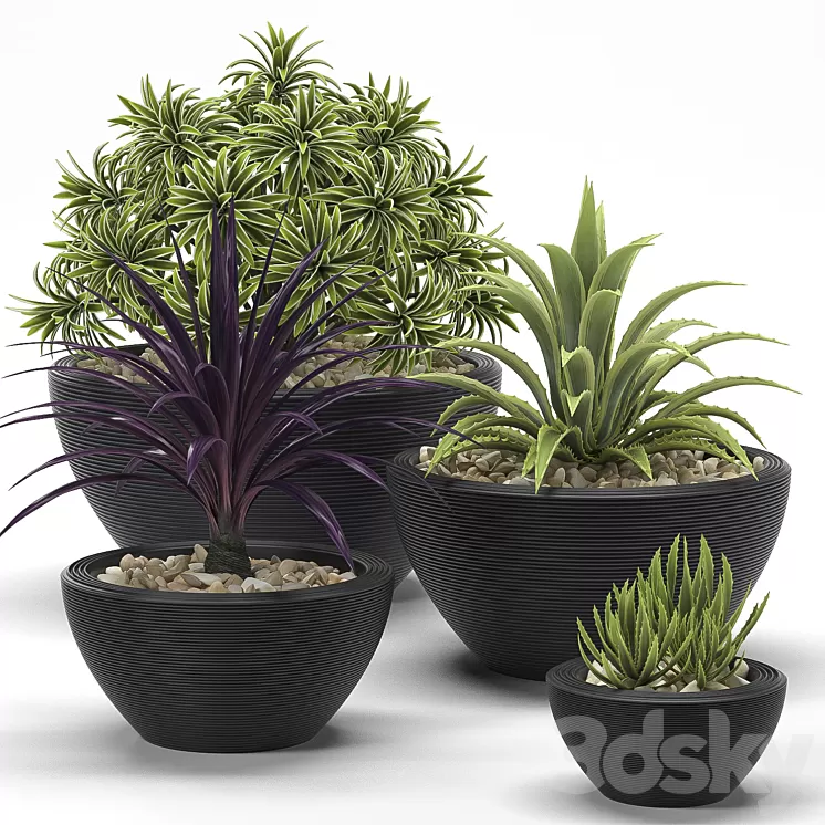 PLANTS 17 3D Model PLANTS 17 3D Model