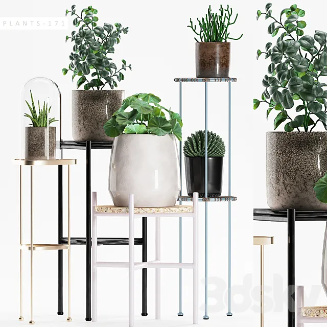 PLANTS 171 3D Model PLANTS 171 3D Model