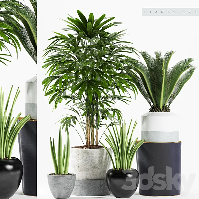 PLANTS 173 3DModel PLANTS 173 3DModel
