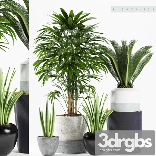 Plants 173 Plants 173