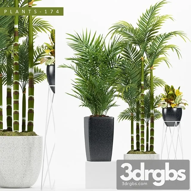 Plants 174 Plants 174
