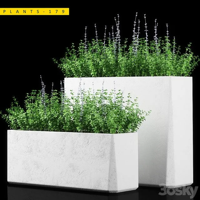 PLANTS 179 3D Model