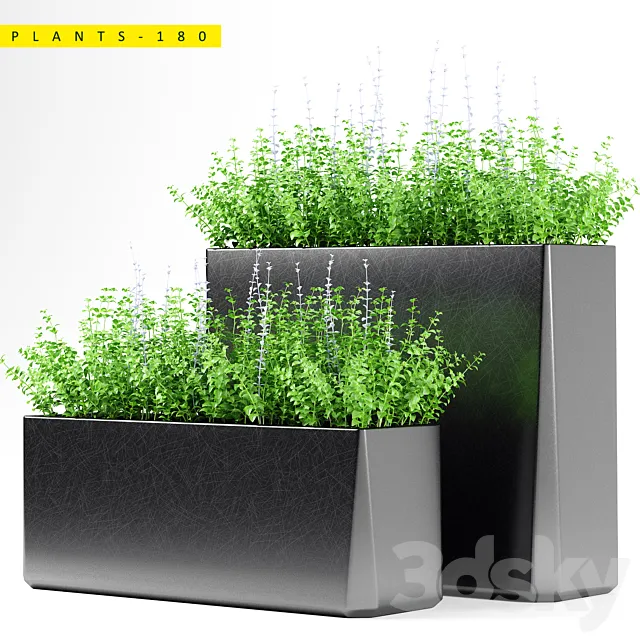 PLANTS 180 3D Model PLANTS 180 3D Model