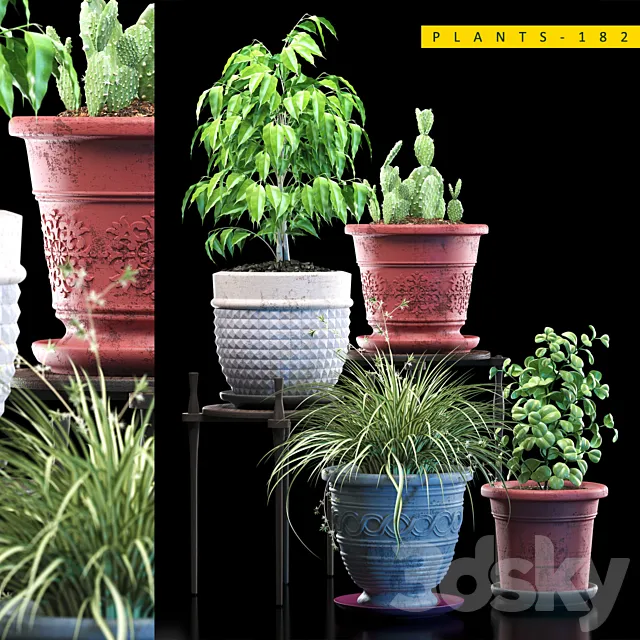 PLANTS 182 3D Model PLANTS 182 3D Model