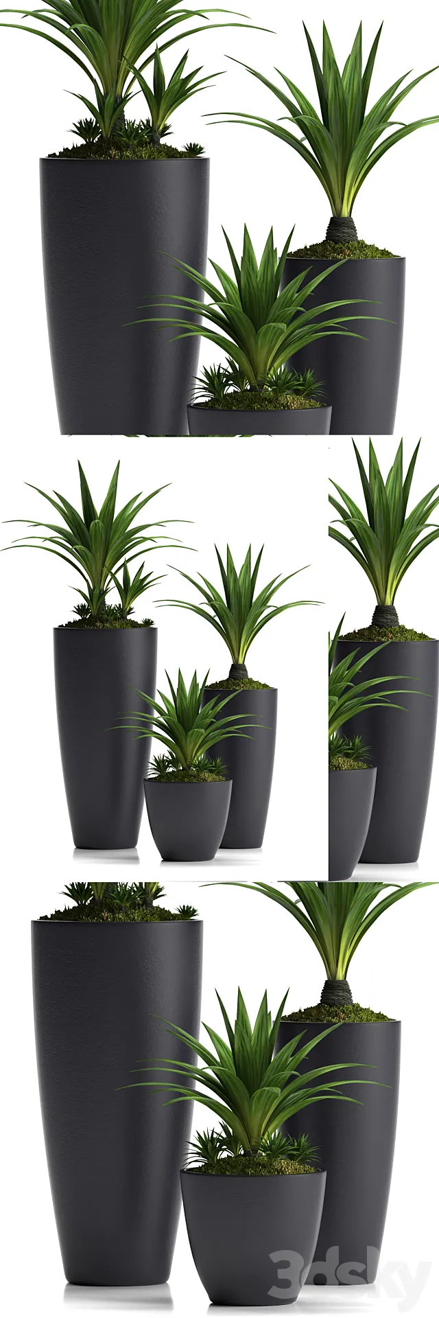 PLANTS 19 3DModel - 3DSKY