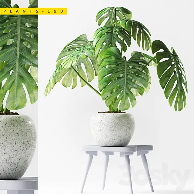 PLANTS 190 3DModel PLANTS 190 3DModel