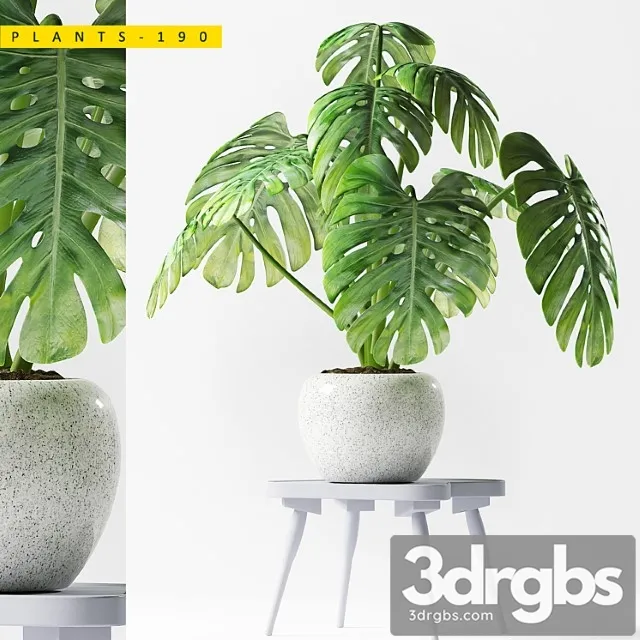 Plants 190 Plants 190