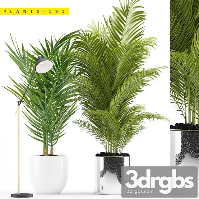 Plants 191 Plants 191