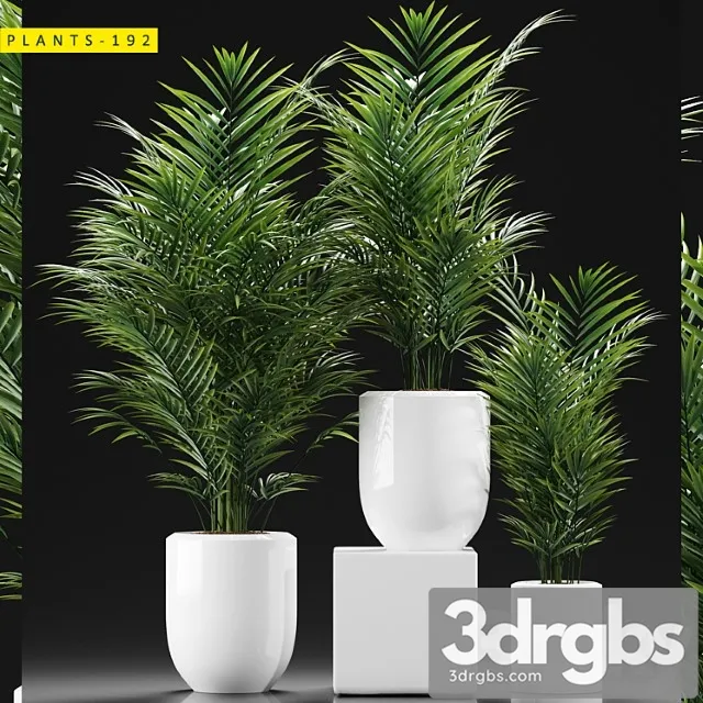 Plants 193 Plants 193