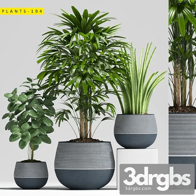 Plants 194 Plants 194