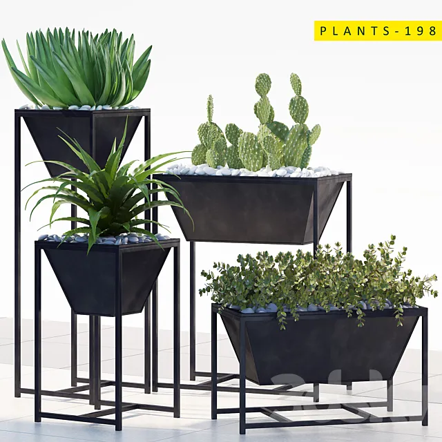 PLANTS 198 3DModel PLANTS 198 3DModel