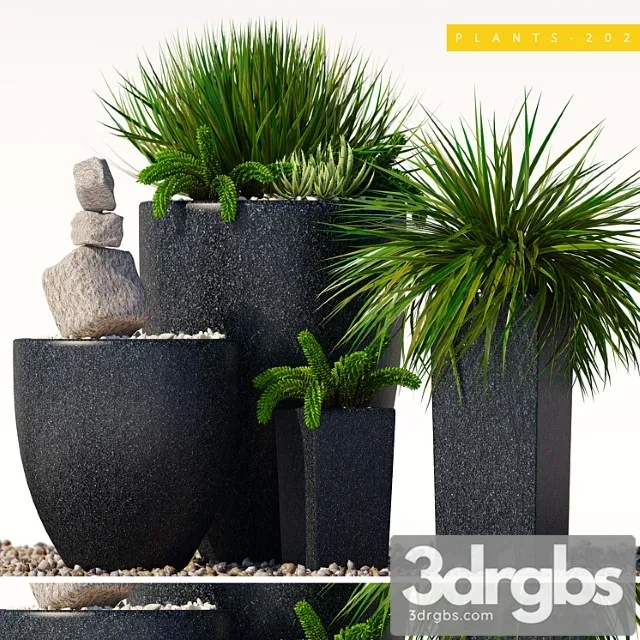 Plants 202 Plants 202