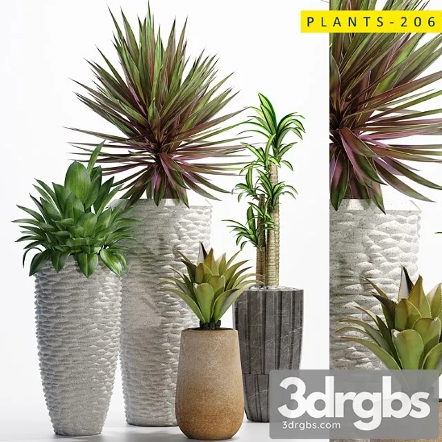 Plants 206 Plants 206