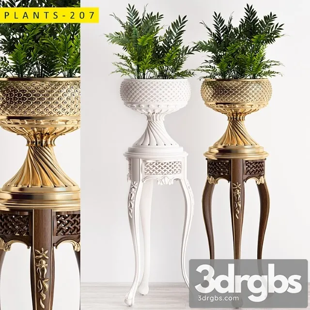 Plants 207 Plants 207