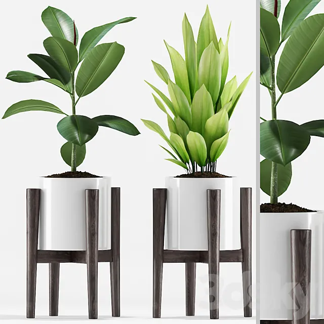 Plants 208 3D Model Plants 208 3D Model