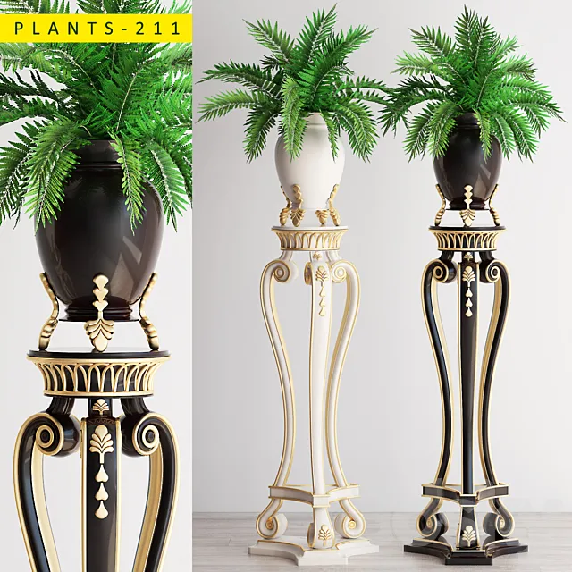 PLANTS 211 3D Model PLANTS 211 3D Model