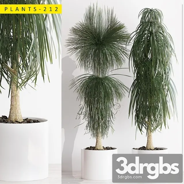 Plants 212 Plants 212