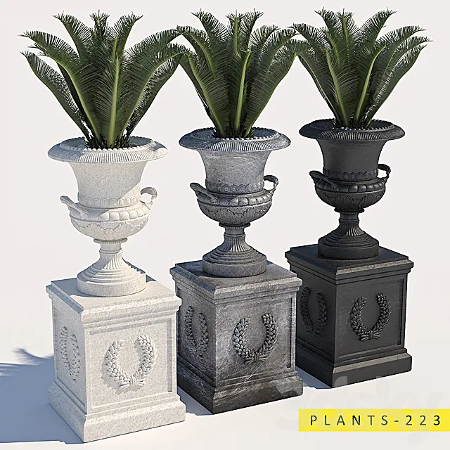 plants 223 3DModel plants 223 3DModel