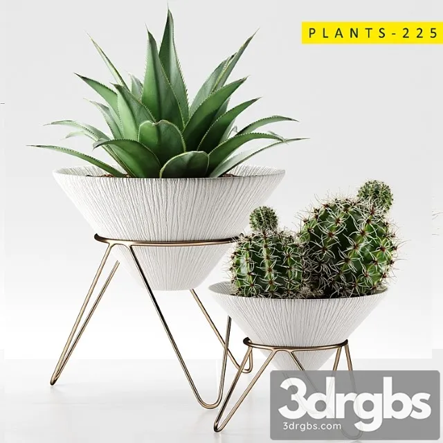 Plants 225 Plants 225