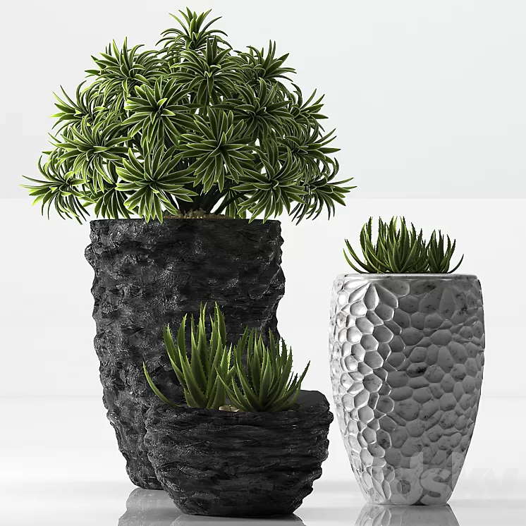 PLANTS 31 3D Model