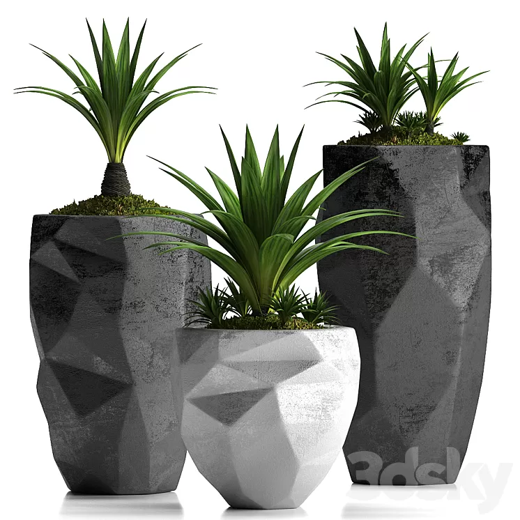 PLANTS 33 3D Model