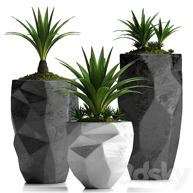 PLANTS 33 3DModel
