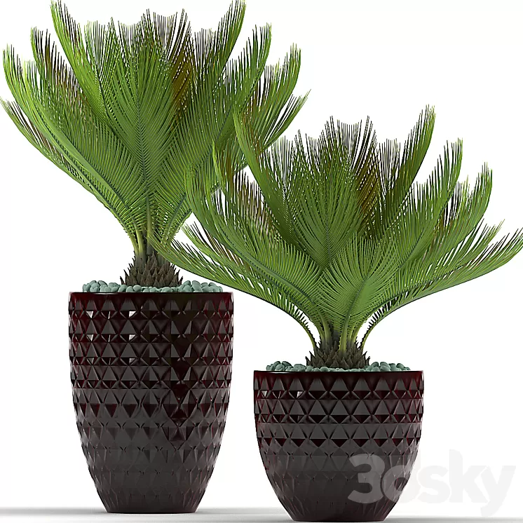PLANTS 39 3D Model