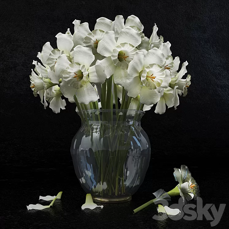 Plants 3D Model Plants 3D Model