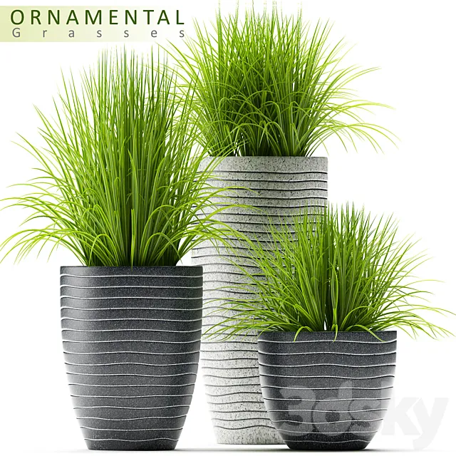 PLANTS 46 3DModel PLANTS 46 3DModel