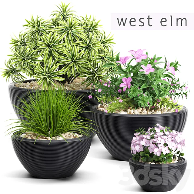 PLANTS 54 3D Model PLANTS 54 3D Model