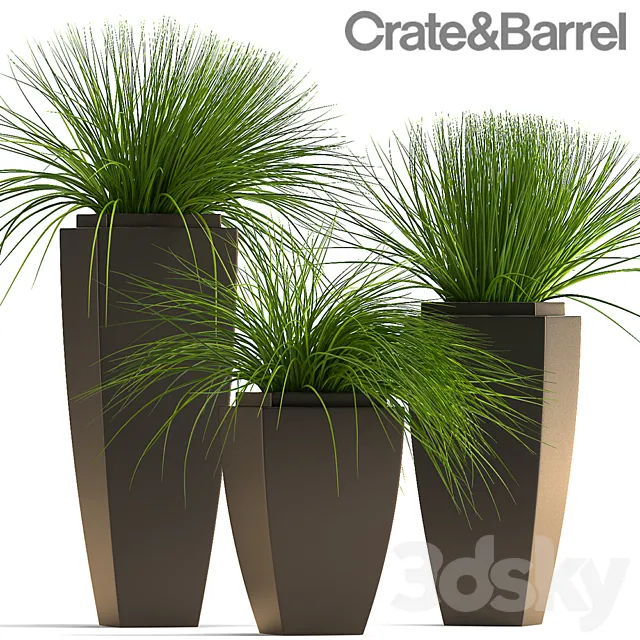 PLANTS 59 3DModel PLANTS 59 3DModel