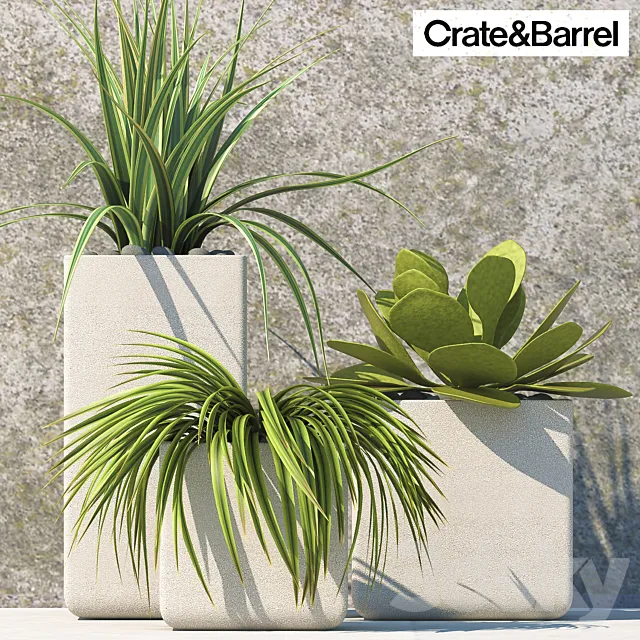 PLANTS 60 3DModel PLANTS 60 3DModel