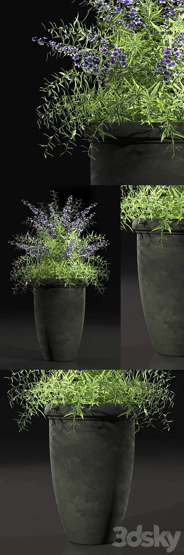 PLANTS 7 3D Model PLANTS 7 3D Model