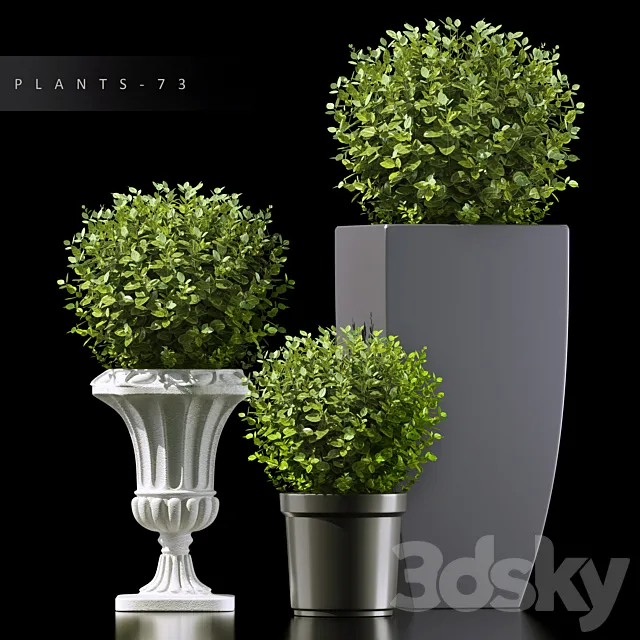 PLANTS 73 3D Model PLANTS 73 3D Model