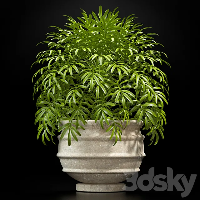 PLANTS 8 3D Model PLANTS 8 3D Model