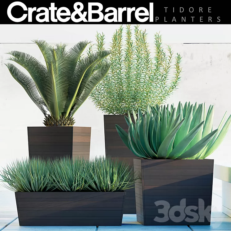 PLANTS 82 3D Model PLANTS 82 3D Model