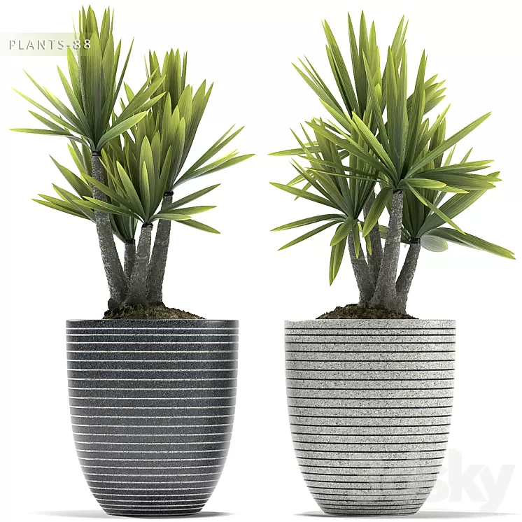 PLANTS 88 3D Model PLANTS 88 3D Model