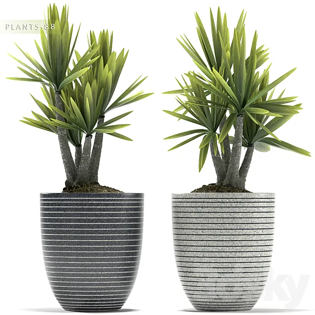 PLANTS 88 3DModel PLANTS 88 3DModel