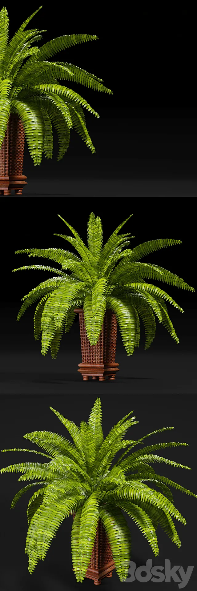 PLANTS 9 3DModel PLANTS 9 3DModel