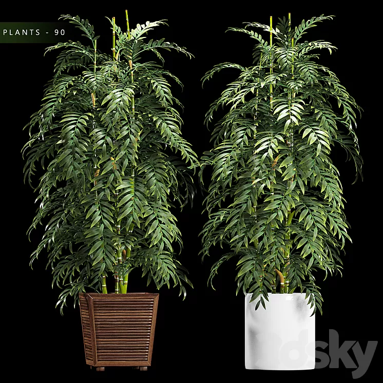 PLANTS 90 3D Model PLANTS 90 3D Model