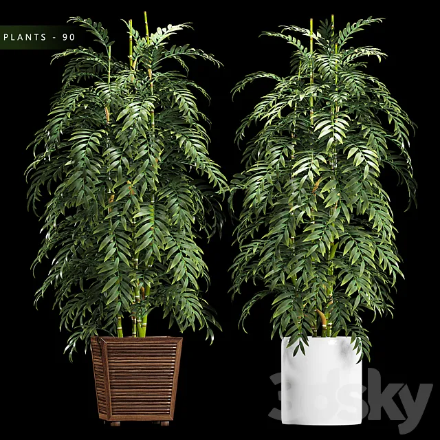 PLANTS 90 3DModel PLANTS 90 3DModel