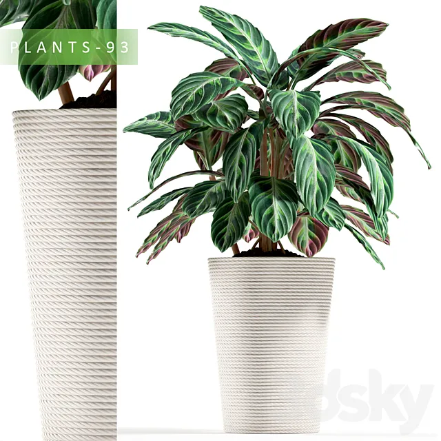 PLANTS 93 3D Model PLANTS 93 3D Model