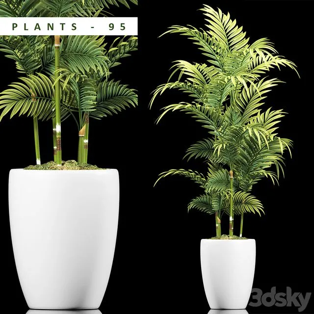 PLANTS 95 3D Model