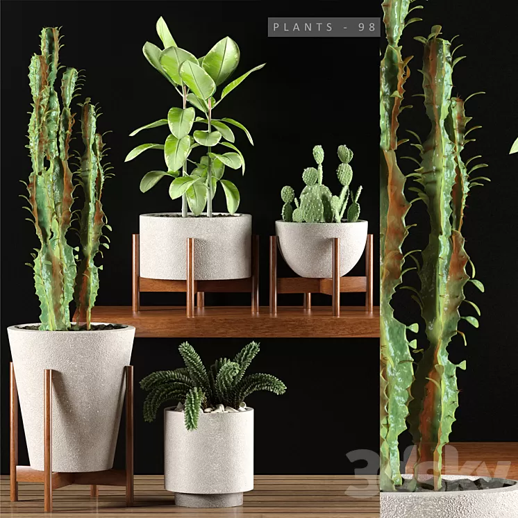 PLANTS 98 3D Model PLANTS 98 3D Model