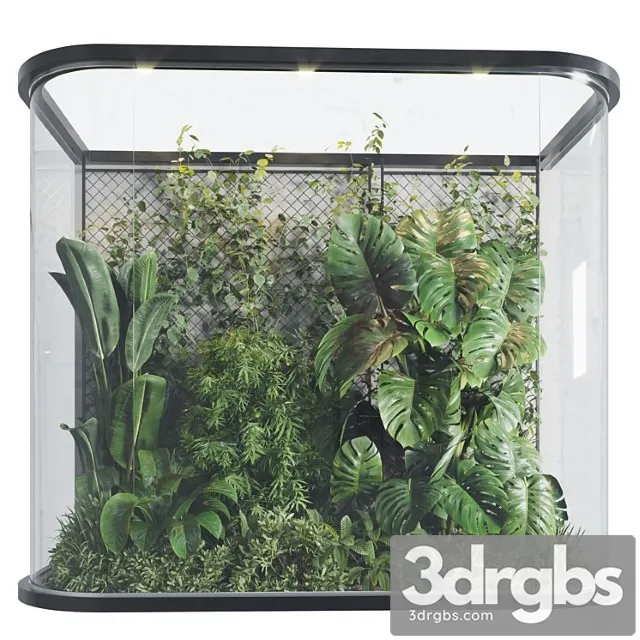 Plants behind galss 03 – indoor garden Plants behind galss 03 – indoor garden