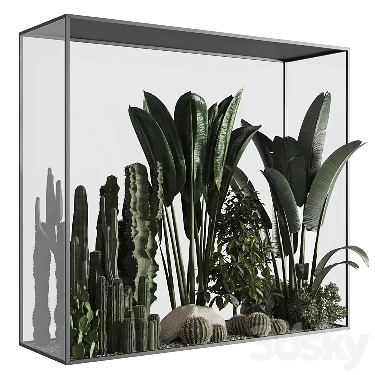 Plants behind glass 02 3D Model Free Download Plants behind glass 02 3D Model Free Download