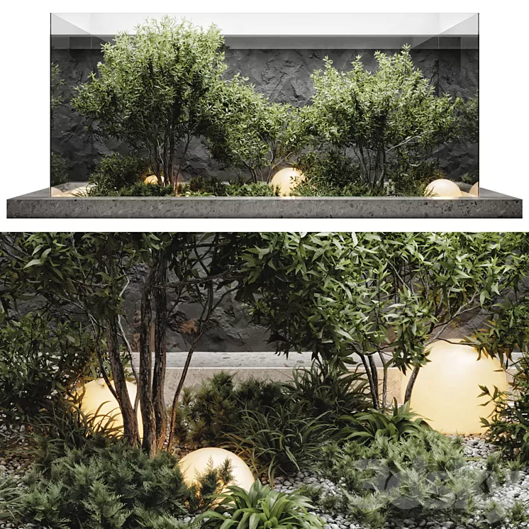 plants behind glass 3D Model Free Download plants behind glass 3D Model Free Download