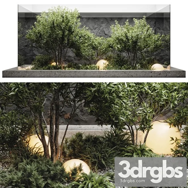 Plants behind glass Plants behind glass